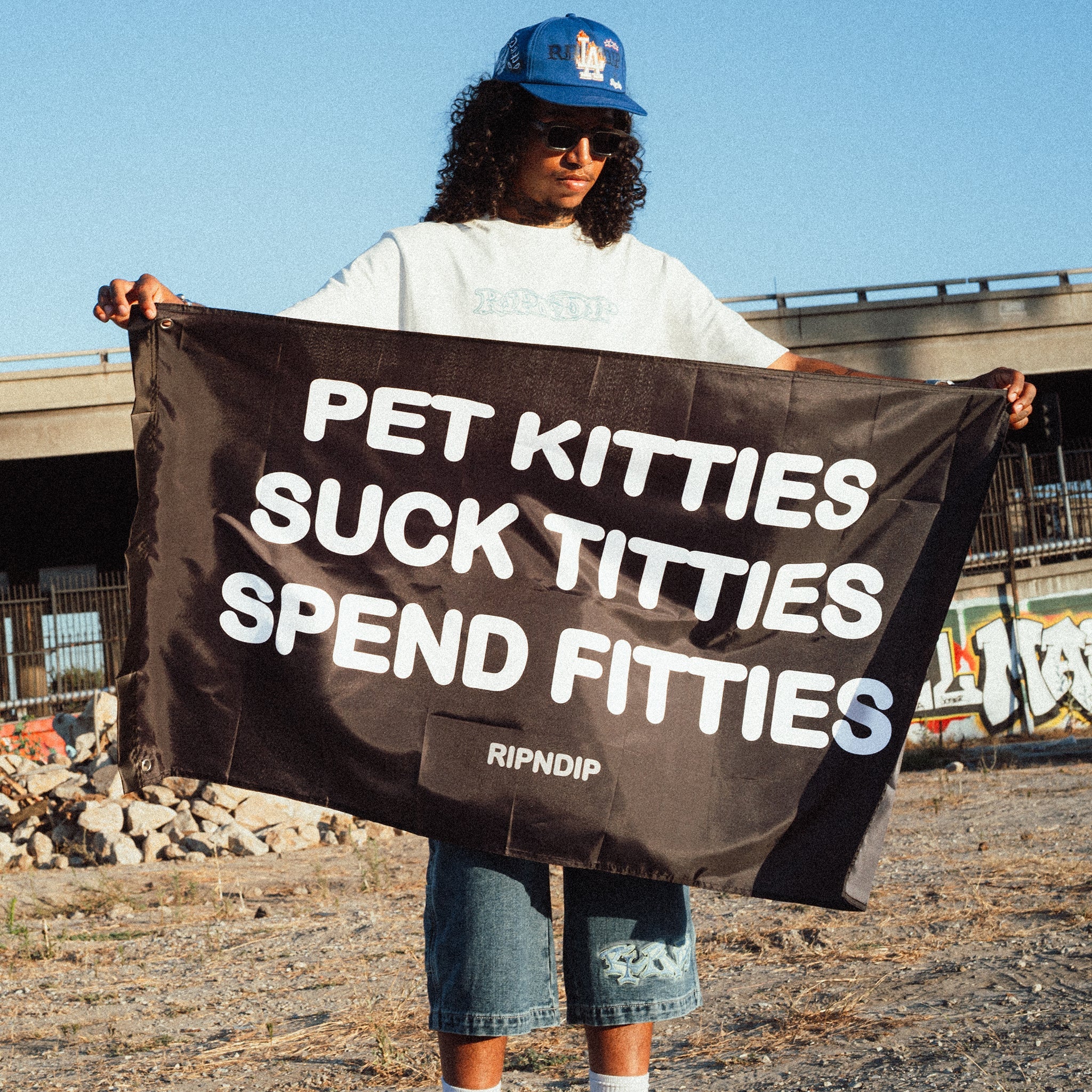 RIPNDIP Pet Kitties Flag (Black)