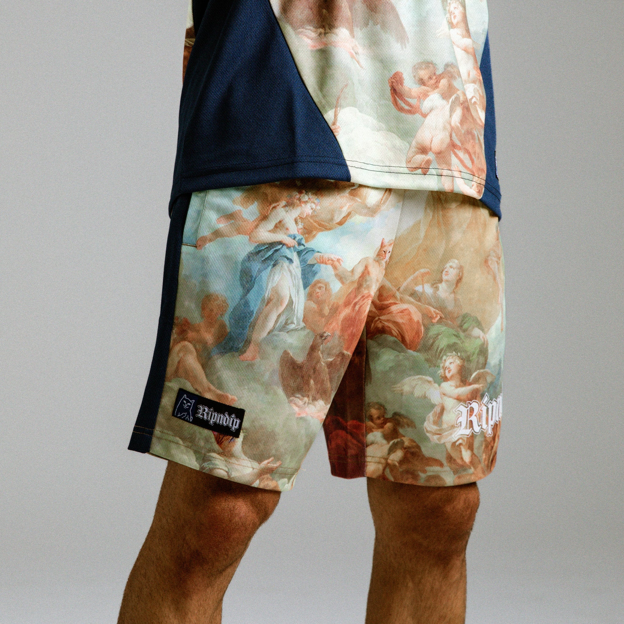 Heavens Waiting Soccer Shorts (Navy Multi)