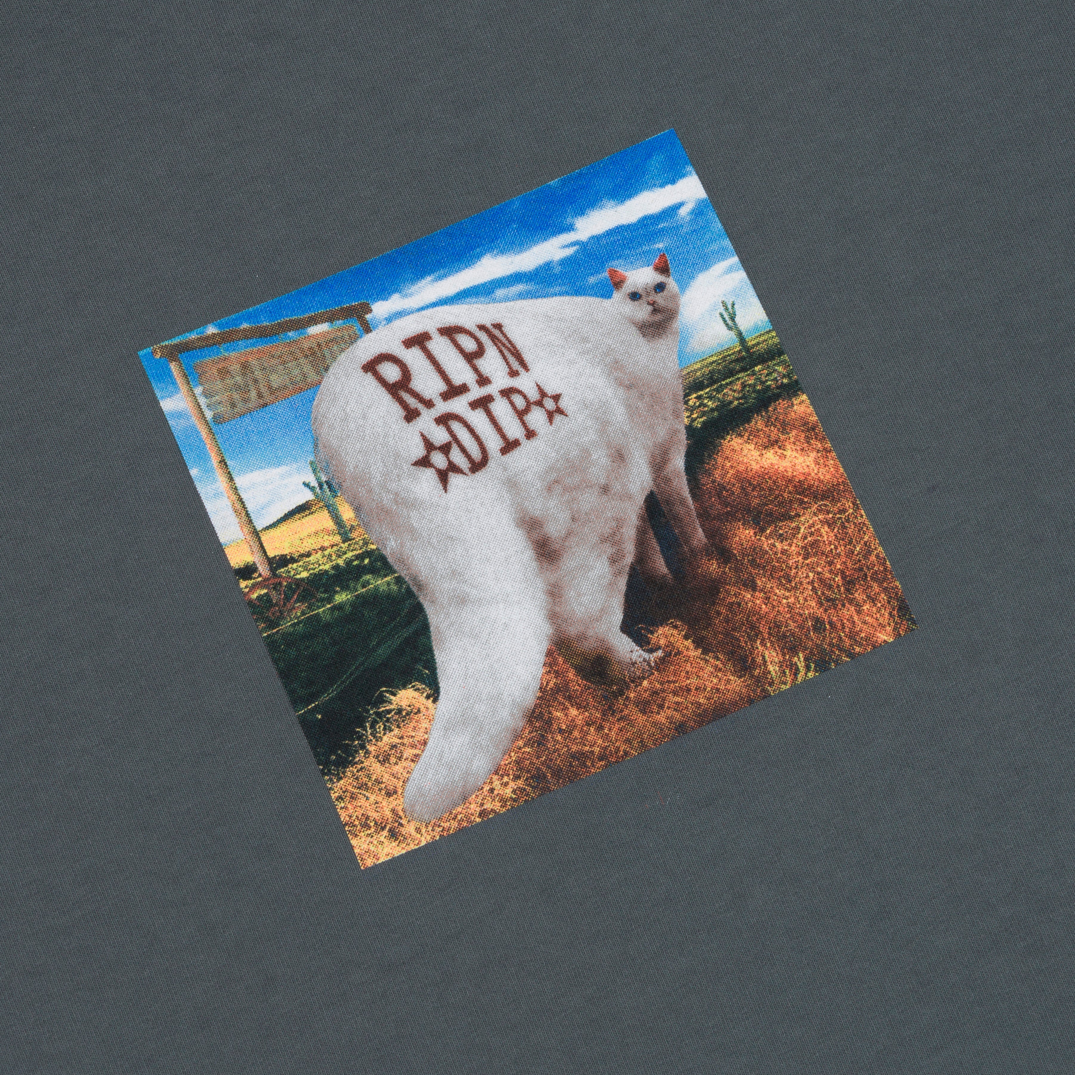 RIPNDIP Rowdy Howdy Tee (Charcoal)