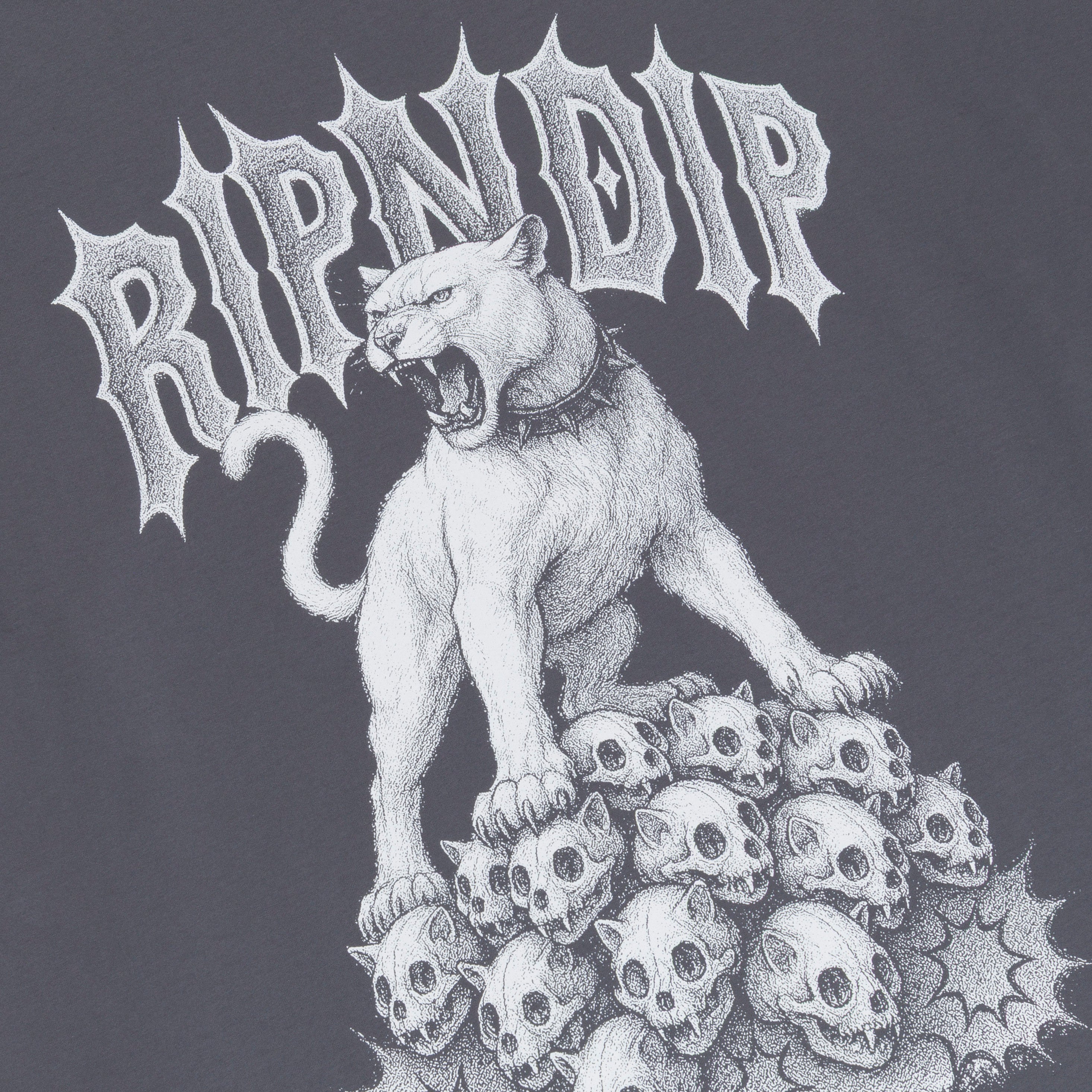 Wasteland Tee (Charcoal)