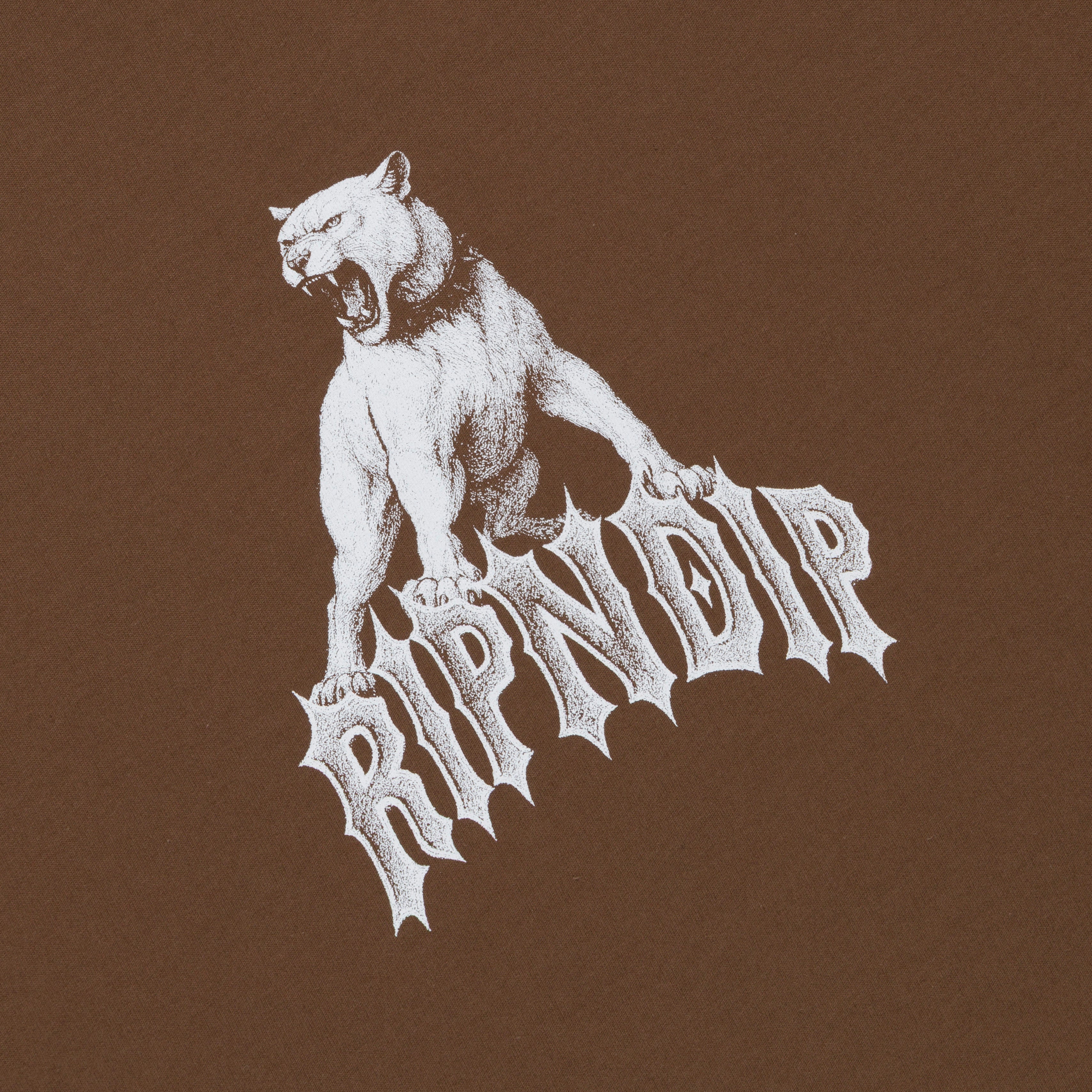 Wasteland Long Sleeve (Brown)