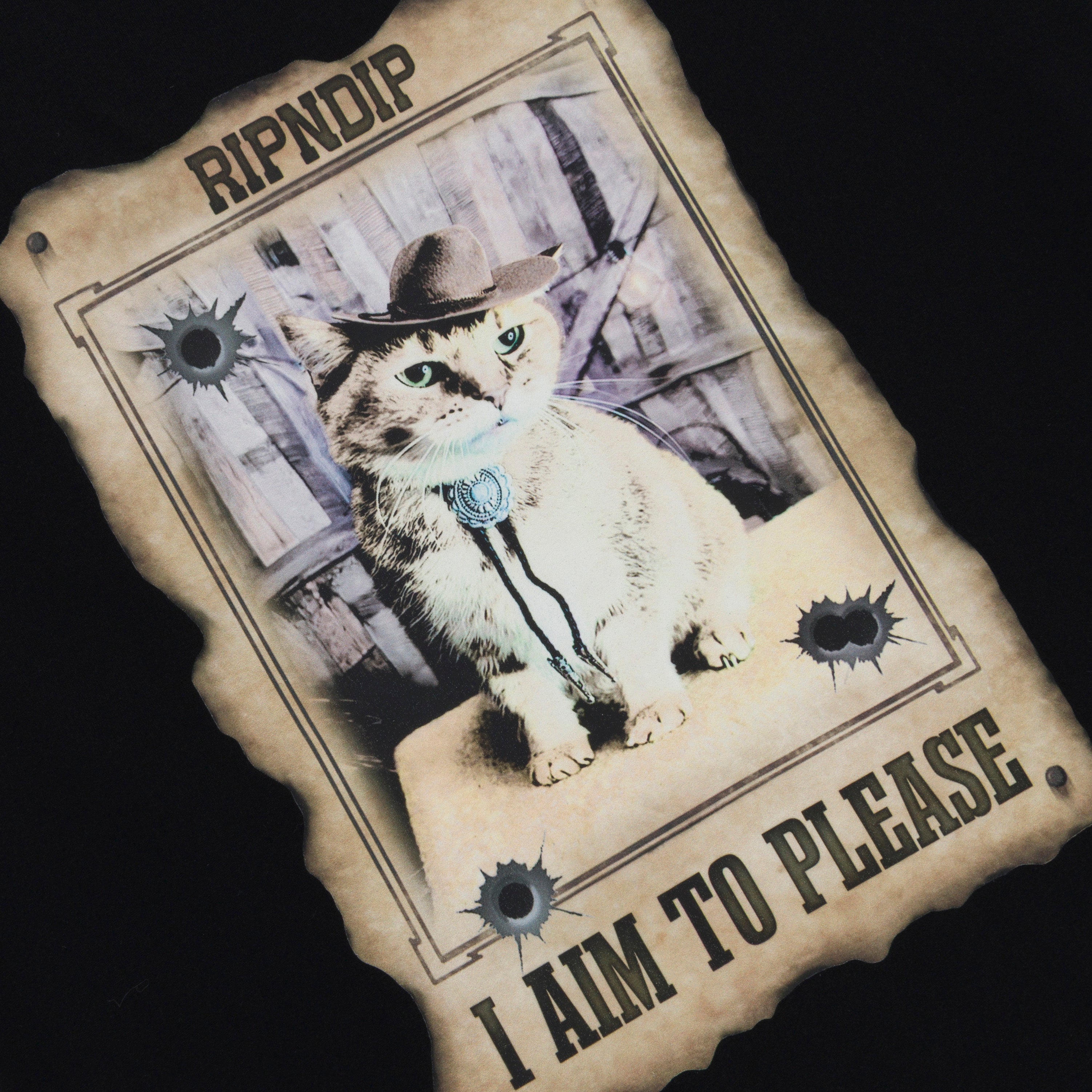 RIPNDIP Most Wanted Tee (Black)