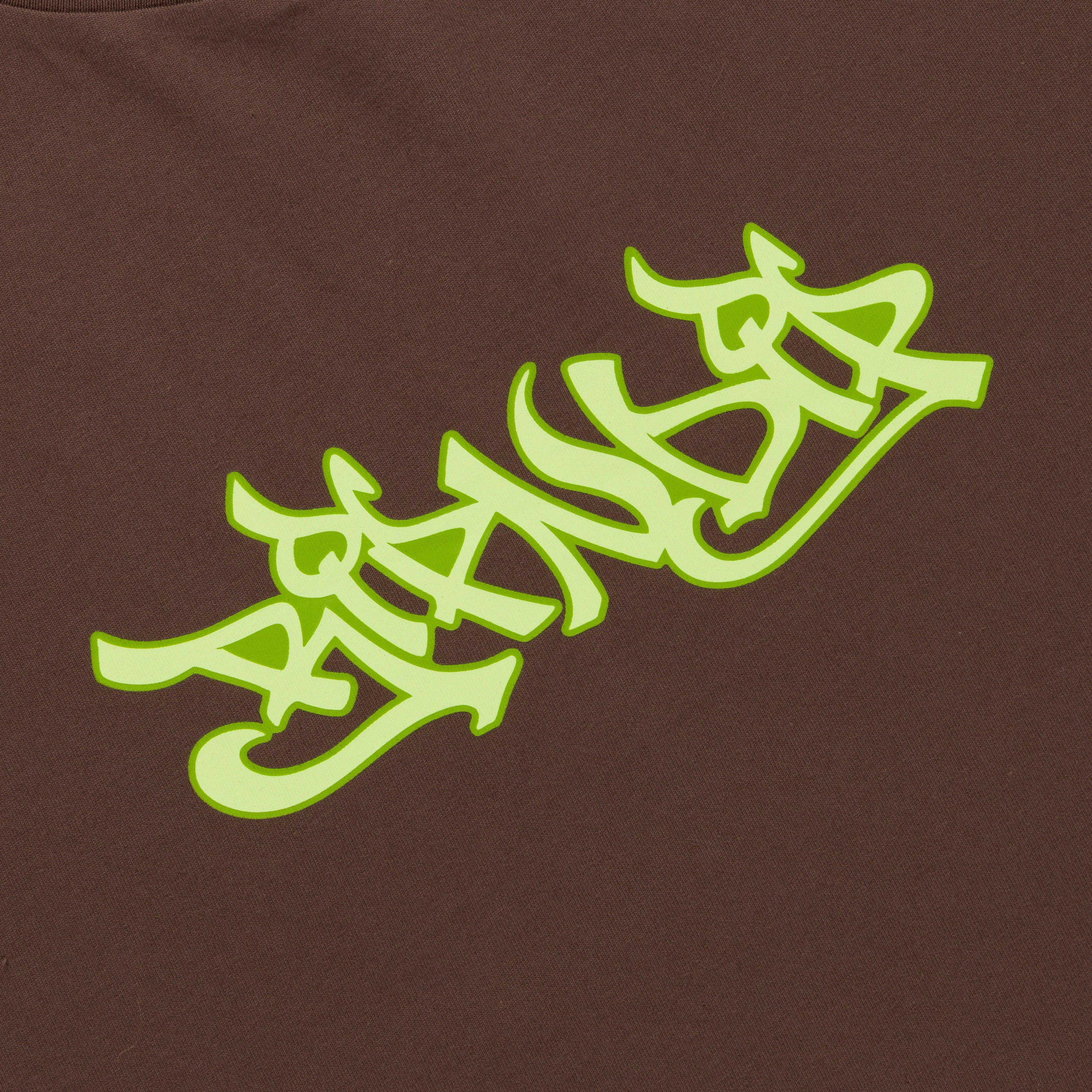 RIPNDIP Dragonology Tee (Dark Brown)