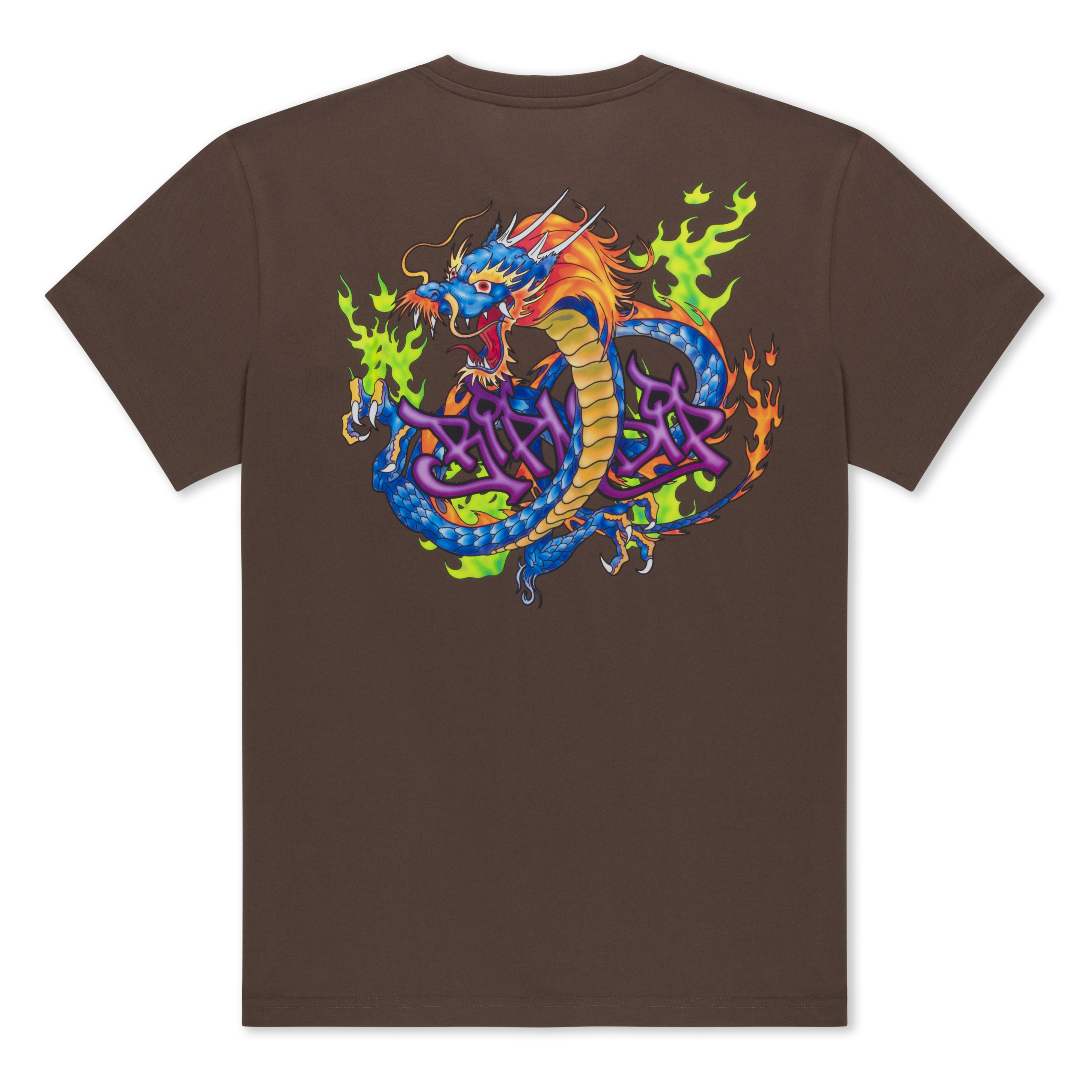 RIPNDIP Dragonology Tee (Dark Brown)