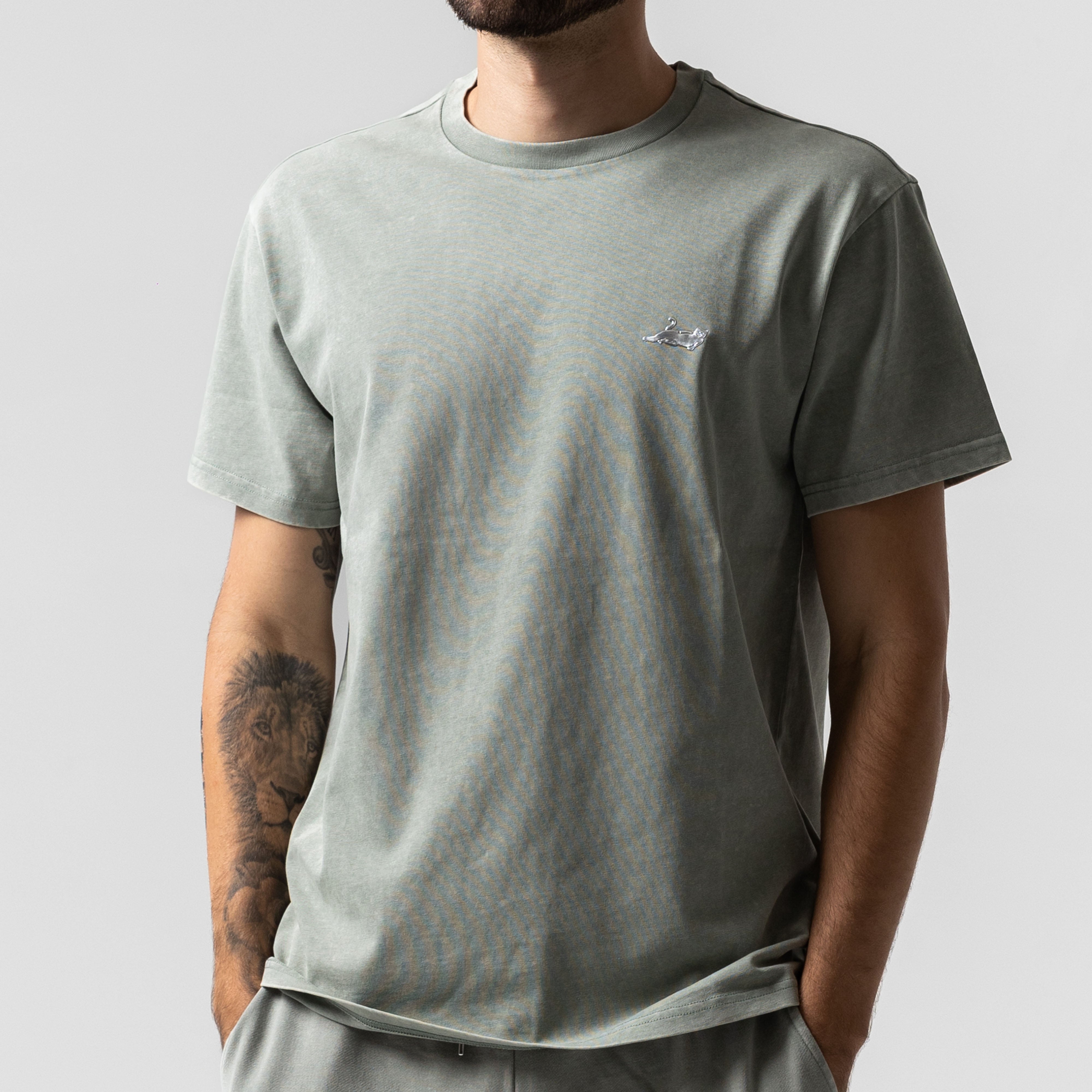 RIPNDIP Castanza Short Sleeve Tee (Sage Vintage Wash)