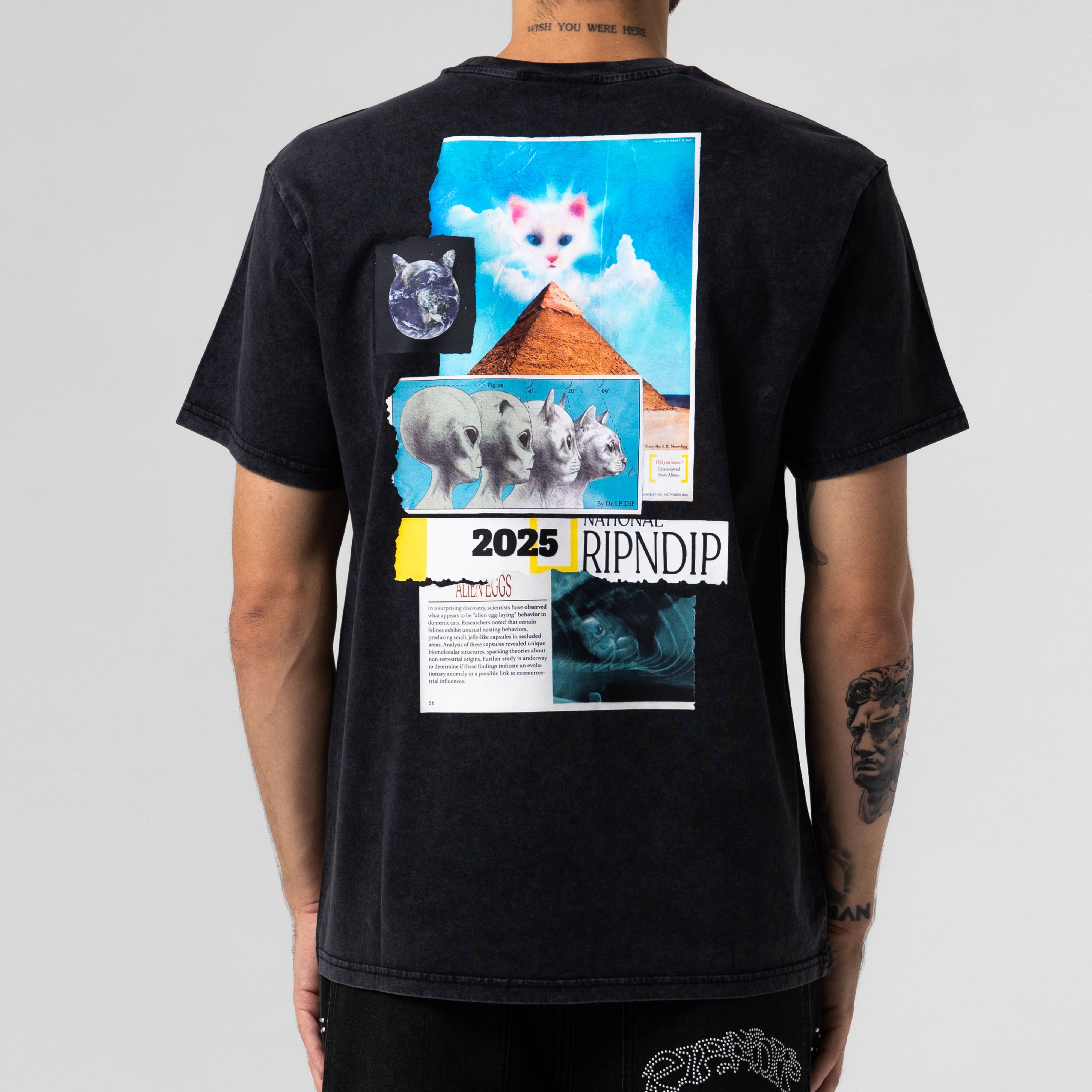 RIPNDIP Nerm Geo Tee (Black Vintage Wash)