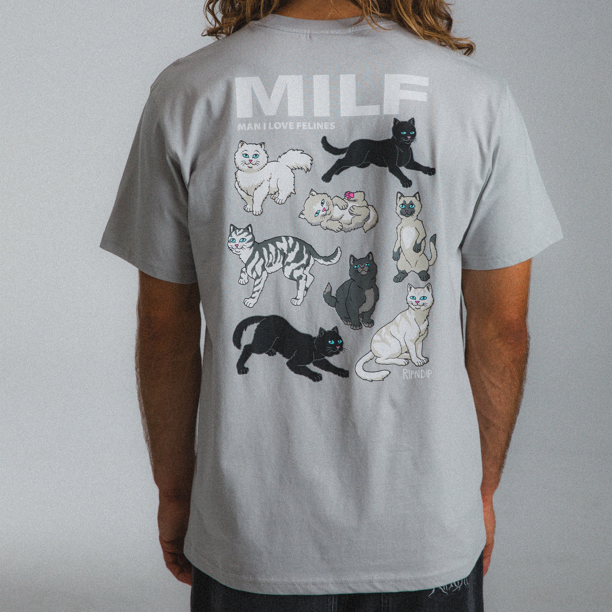 Man I Love Felines Tee (Grey)